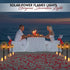 96 Led Flickering Flame Solar Lamp | 2 Pcs | WBM SMART